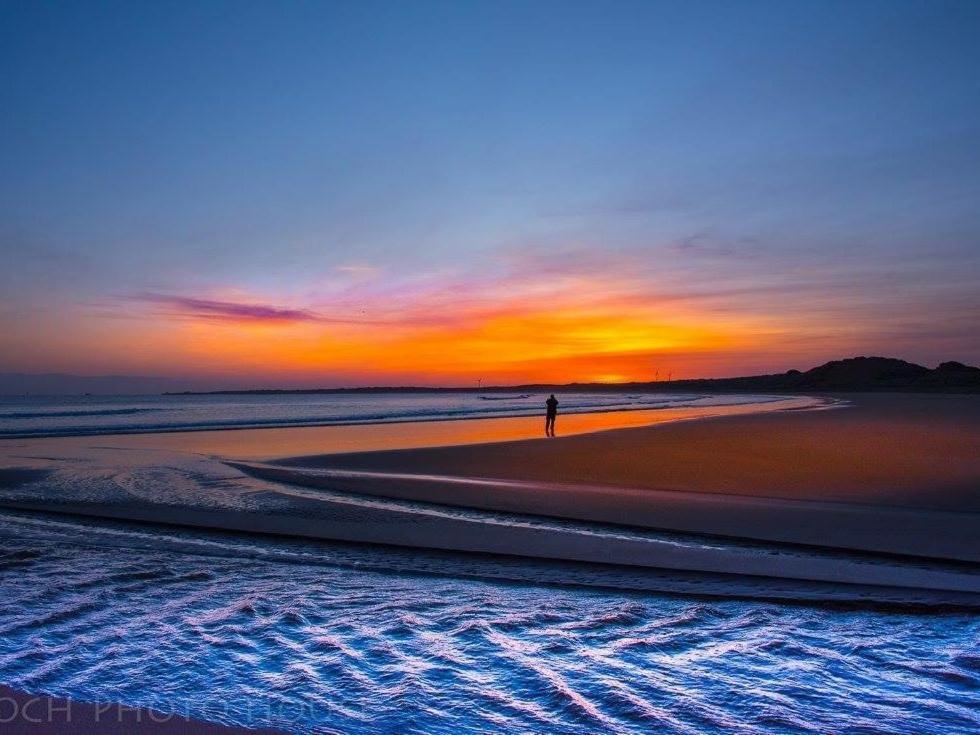 Pew With A View - Seafront Cottages Sandhaven المظهر الخارجي الصورة